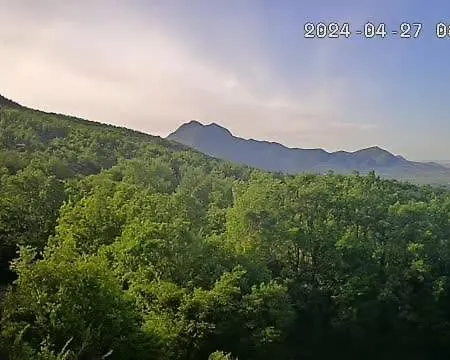 Kreshta Lezhë